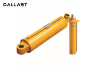Double Acting Chrome Welded 2 Earring Crane Hydraulic Lift Cylinder